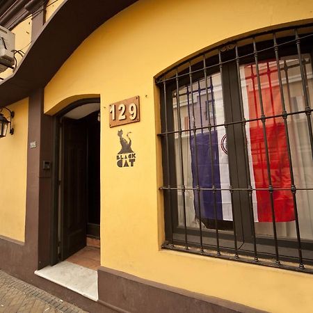 Black Cat Hostel Asuncion Luaran gambar