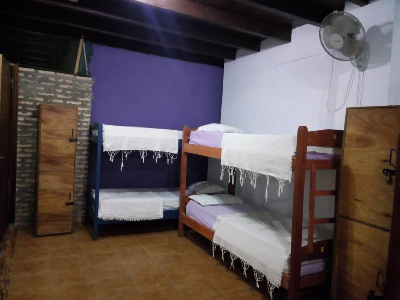 Black Cat Hostel Asuncion Luaran gambar